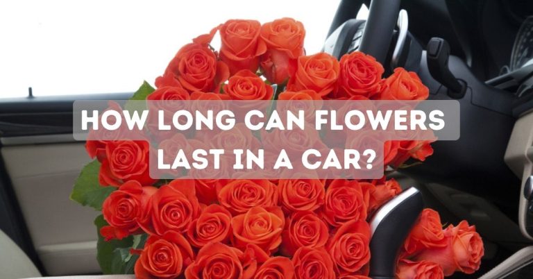 How Long Can Flowers Last In A Car?