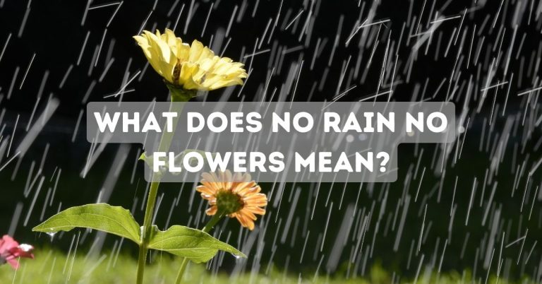 What Does No Rain No Flowers Mean?